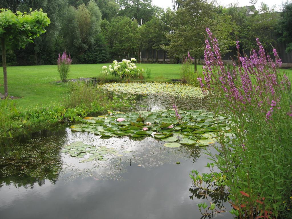 B&B Oostzomerland Mijnsheerenland Luaran gambar